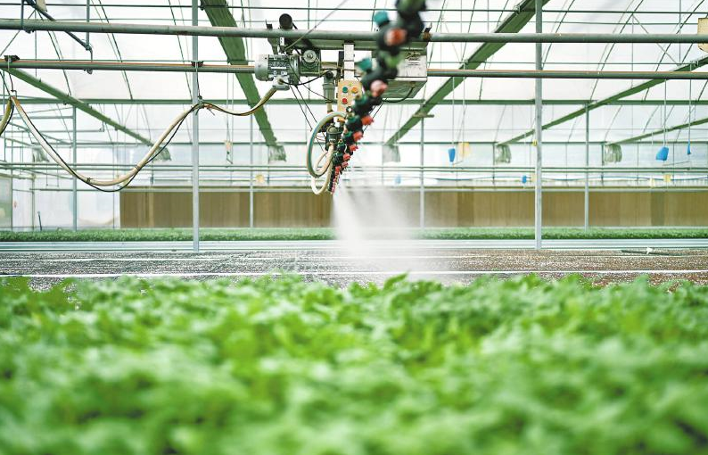 從“新農(nóng)人”到“興農(nóng)人” 共繪好“豐”景